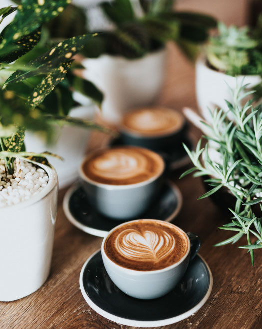 alba-apatments-green-square-bridgehill